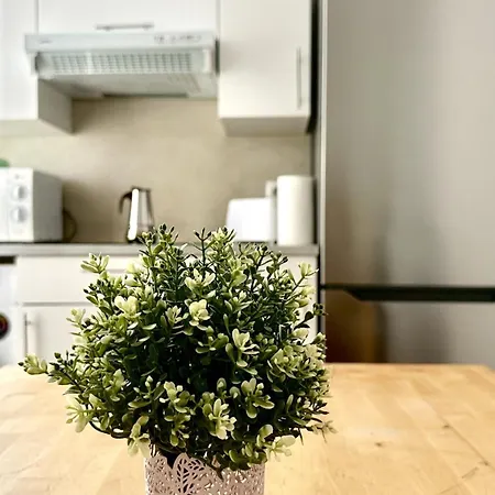 Costa Vasca Apartman *